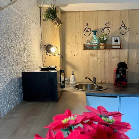 Avec Jaccuzi, Red & Jardin Castres (Tarn)